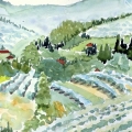 Field from Arezzo, Italy 12x16 Watercolor