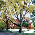 Along Colonel's Row 16x12 Watercolor