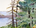 Blue Drum,  Monhegan Island, ME 20X14 Watercolor