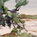 Davis Cove, Cushing, ME 12x16 Watercolor