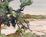 Davis Cove, Cushing, ME 12x16 Watercolor