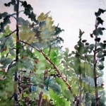 The Woods, Owls Head 20x14 Watercolor