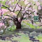 Blossoms 12x9 Watercolor