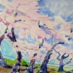 Cherry Trees 12x16 Watercolor