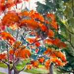 Fall Red Maple 14x20 Watercolor