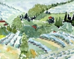 Field from Arezzo, Italy 12x16 Watercolor