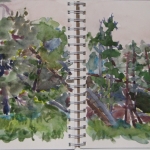 Study of Woods, ME Watercolor 9x12