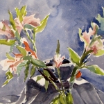 Bowl and Flowers_15x11 Watercolor