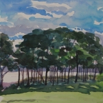 Grove of Trees, Golden Gardens 12x12 Watercolor