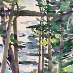 Evergreens on San Juan Island, WA 14x10 Watercolor