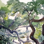 Into the Trees 20x14 Watercolor